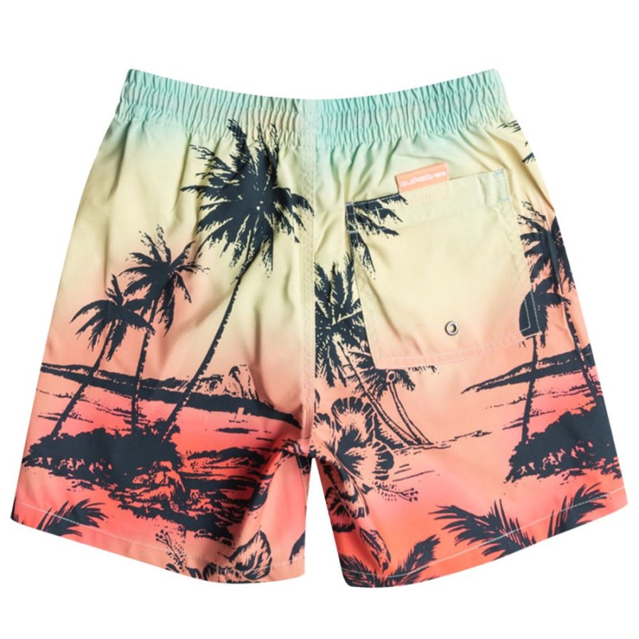 Bambini QUIKSILVER Costumi | Pantaloncini Bambino Everyday Paradise 14